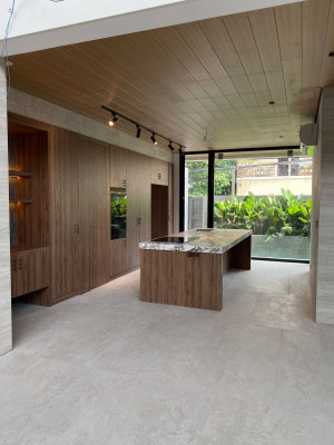 Own this Radiant Brand-New 4-Bedroom Corner Home with Plunge Pool in BF Homes,