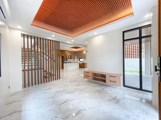 Elegant Brand New Modern Contemporary House and Lot