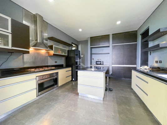 reathtaking Modern Tropical House and Lot For Sale in Ayala Greenfields