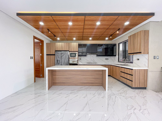 Luxurious Modern Tropical House and Lot For Sale in BF Homes,