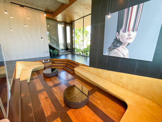 Luxurious Fully Furnished Modern House and Lot For Sale