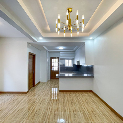 Sophisticated Fully Renovated Modern House For Sale