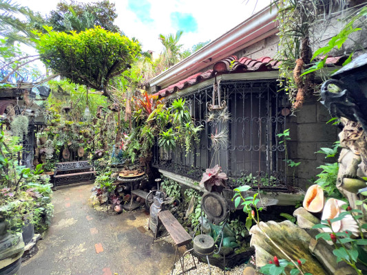 Prime Lot for Sale with Antique House, Visayas Ave., Quezon City