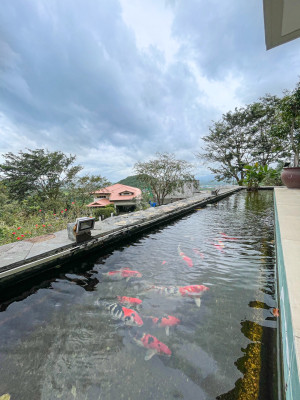 Prime Corner House and Lot with Breathtaking