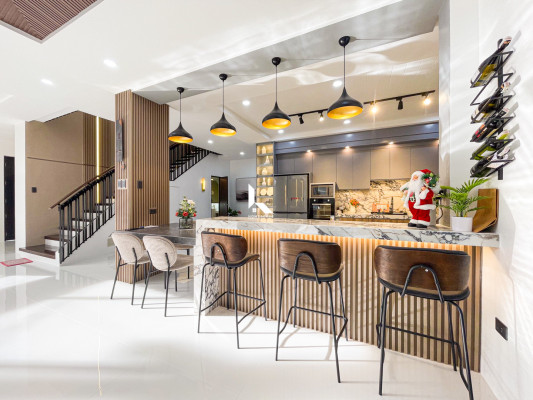 Luxurious Brand New Furnished House and Lot