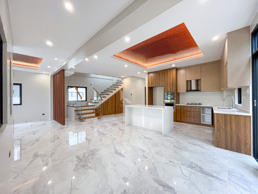Elegant Brand New Modern Contemporary House and Lot