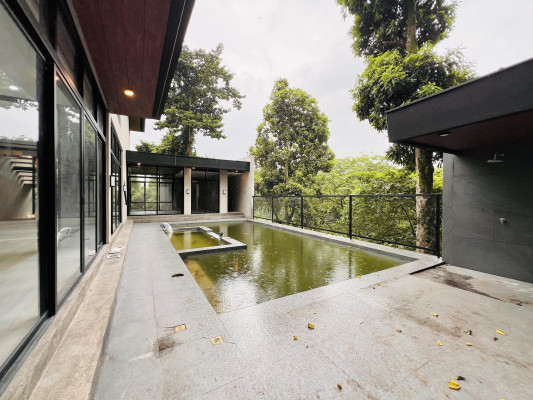 Uncover this Contemporary Brand-New House in BF Homes