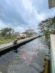 Prime Corner House and Lot with Breathtaking