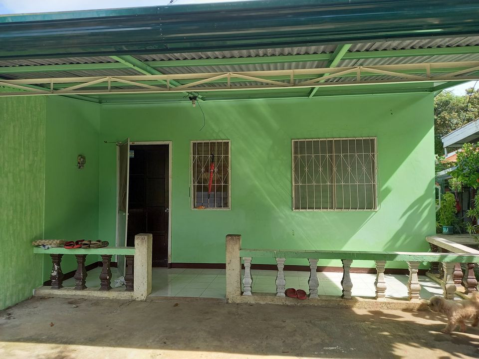 House for rent