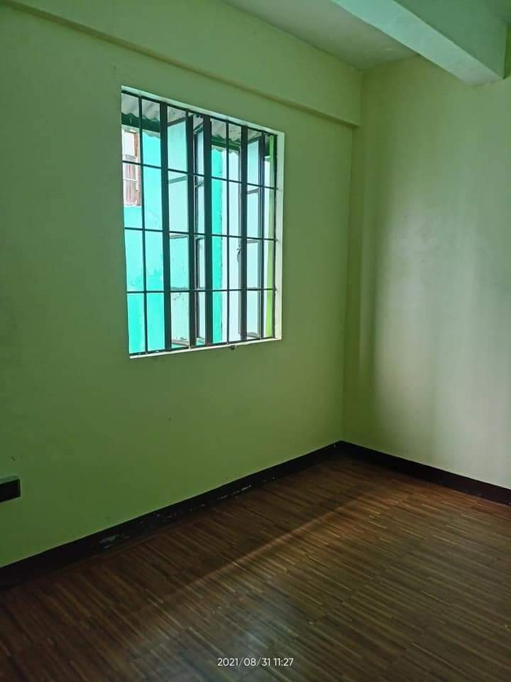 Gallery 2
