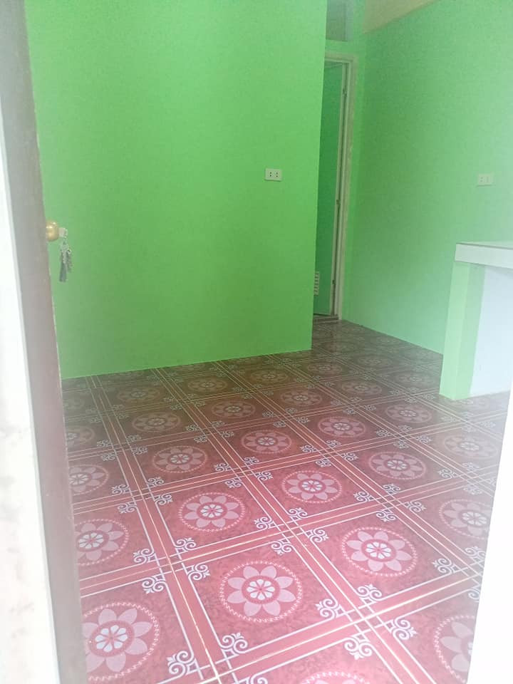 Gallery 5