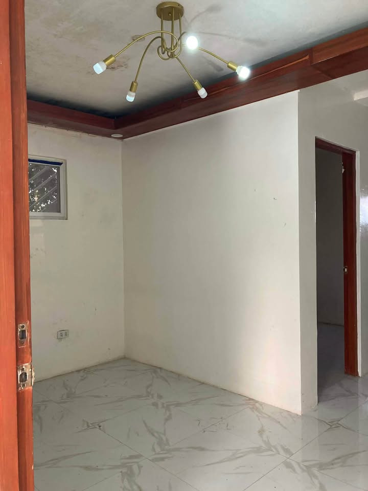Gallery 4