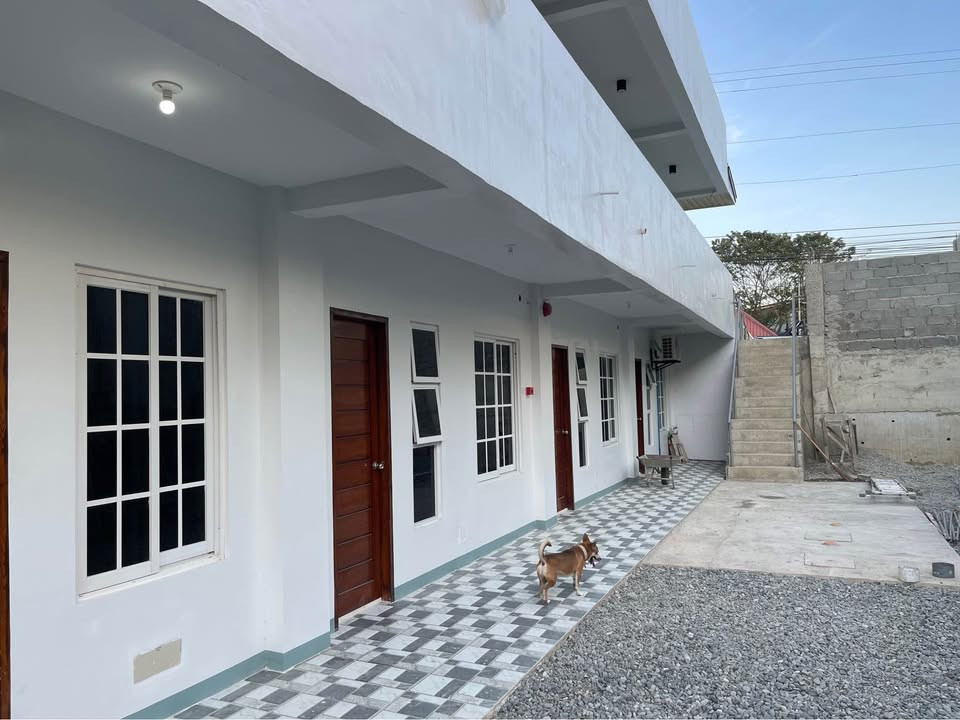 Gallery 2