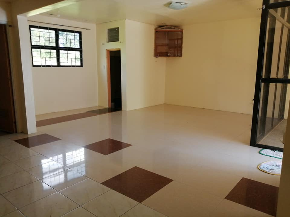Gallery 3