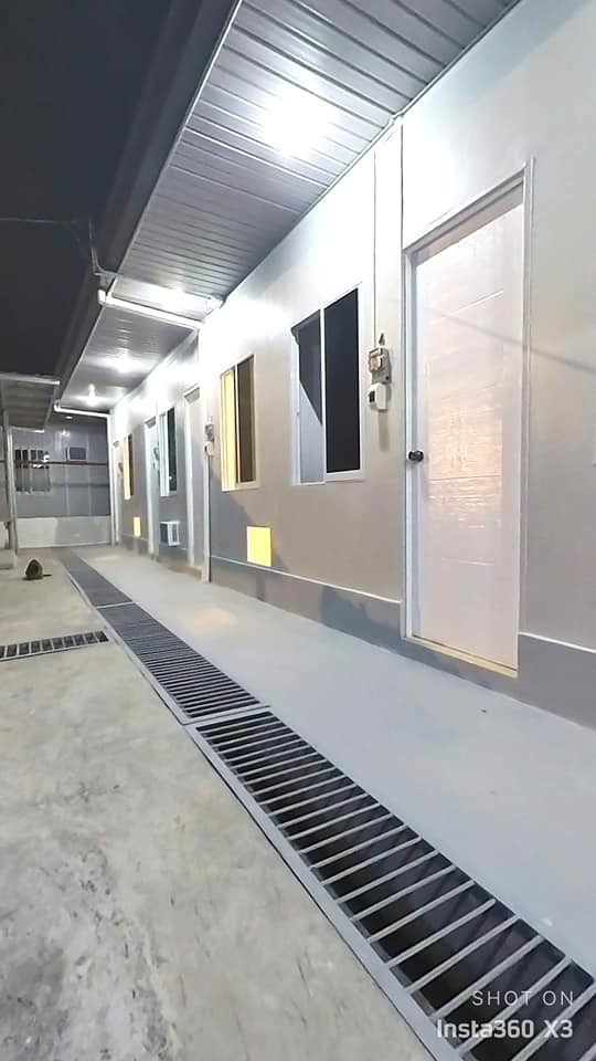 Gallery 2