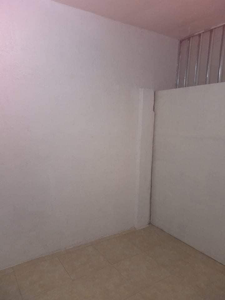 Gallery 5