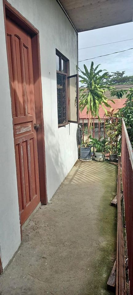 Gallery 5