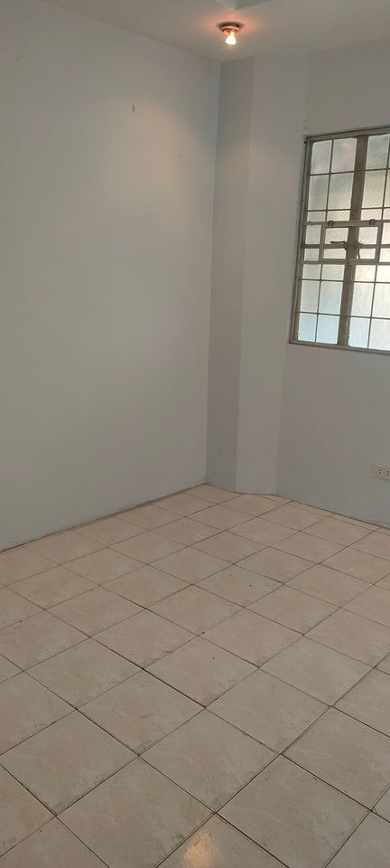 Gallery 3
