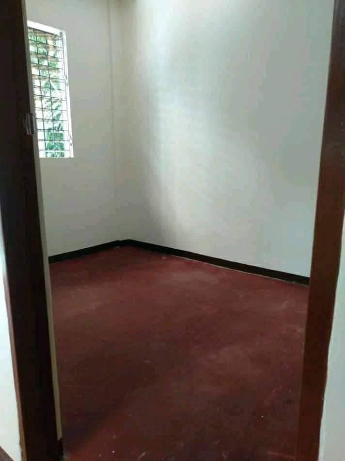 Gallery 5
