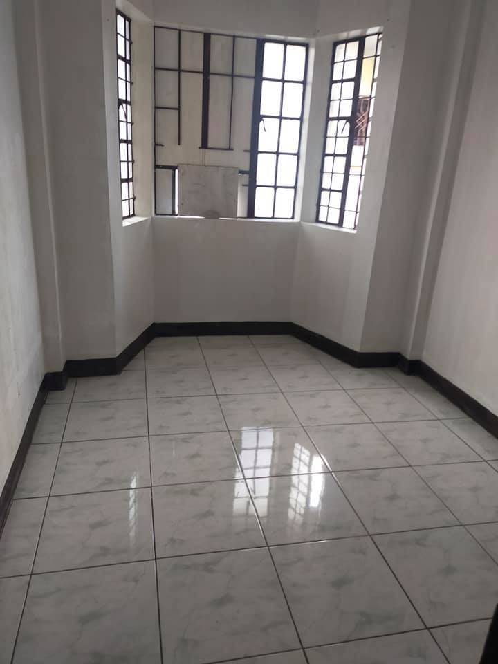 Gallery 2