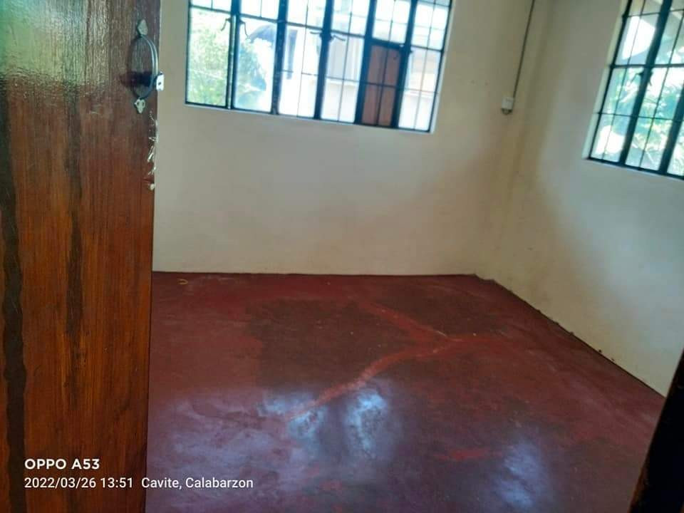 Gallery 2