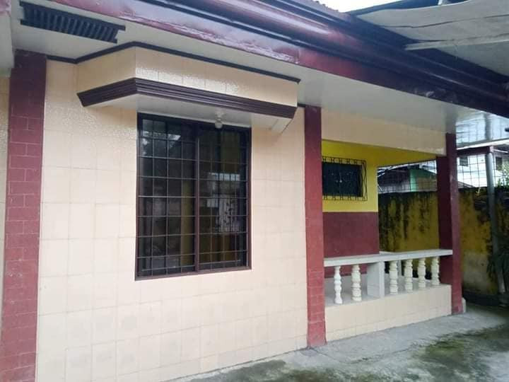 Gallery 2