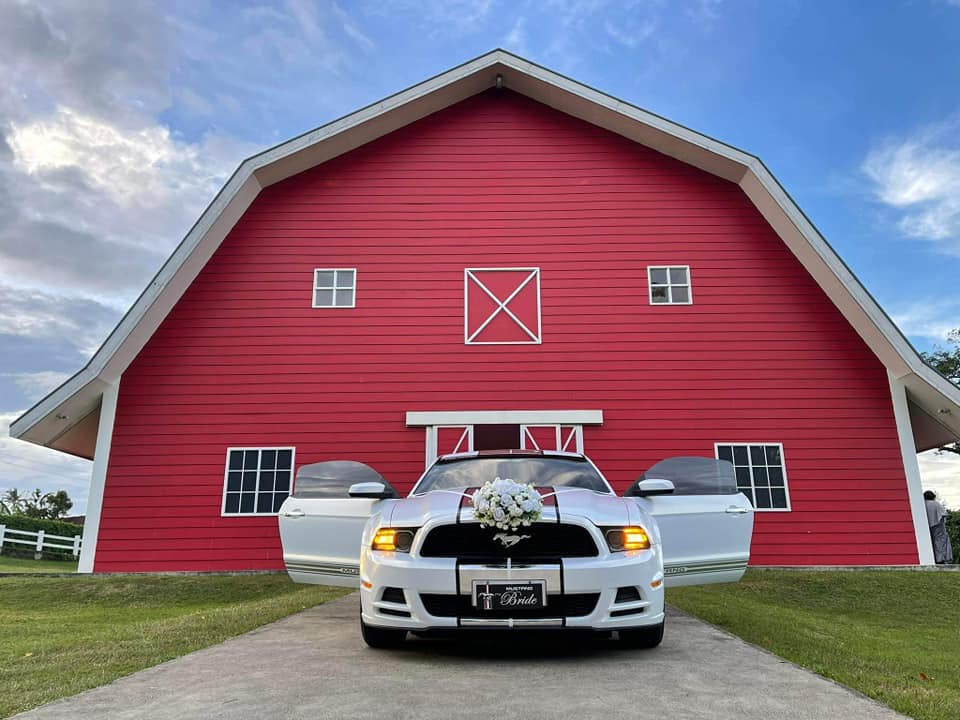 Bridal Car for Rent