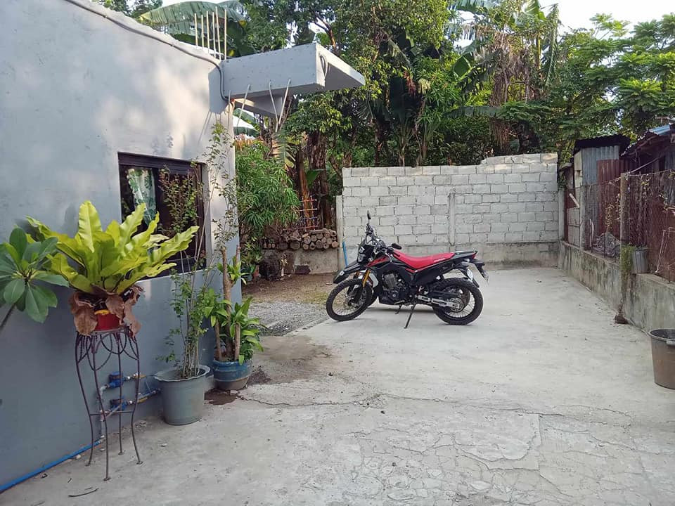 Gallery 2