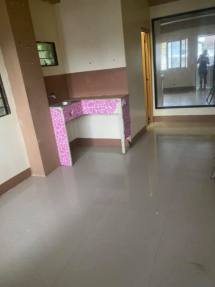 Gallery 5