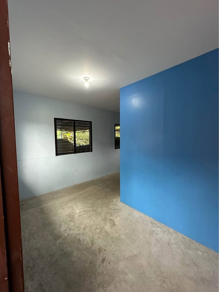 Gallery 3