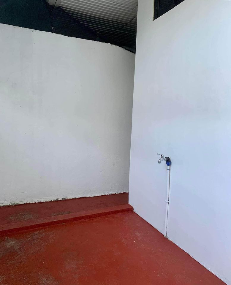 Gallery 5