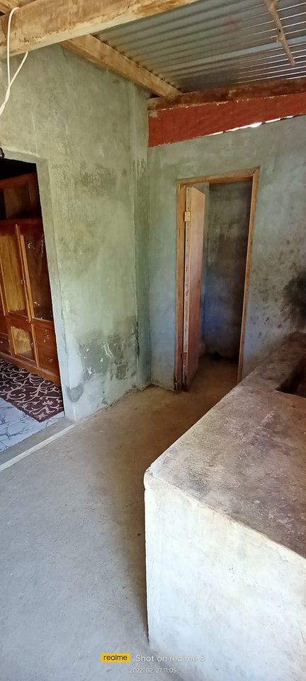 Gallery 4