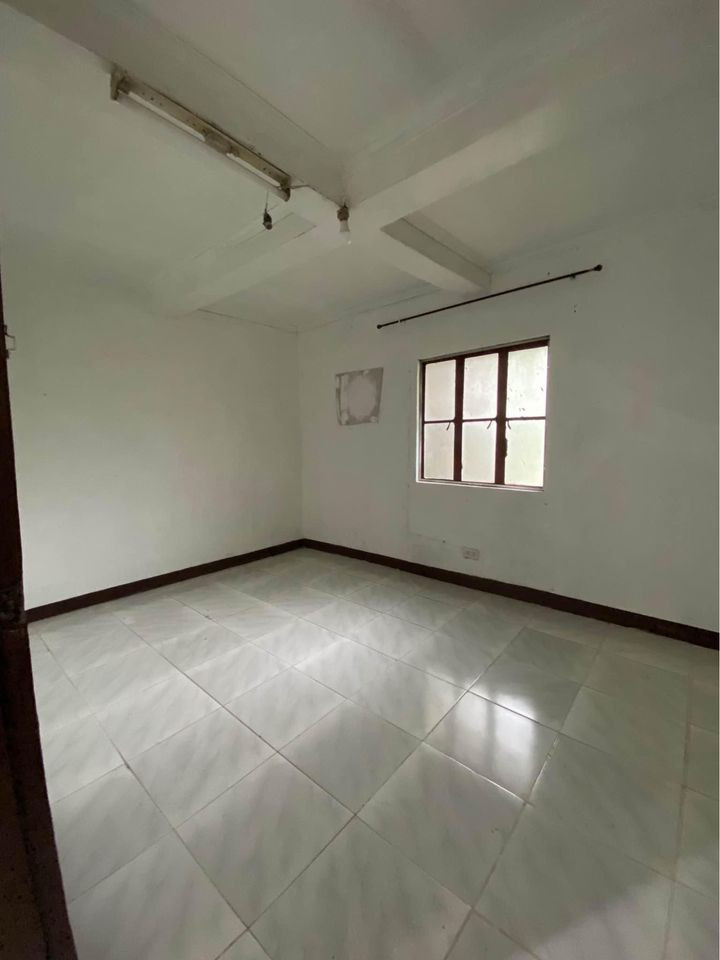 Gallery 2