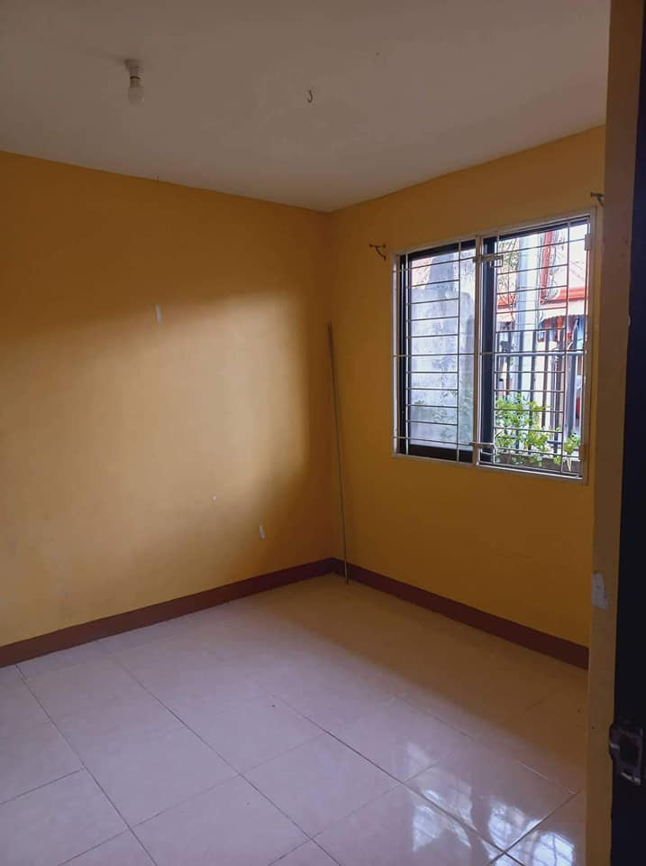 Gallery 5