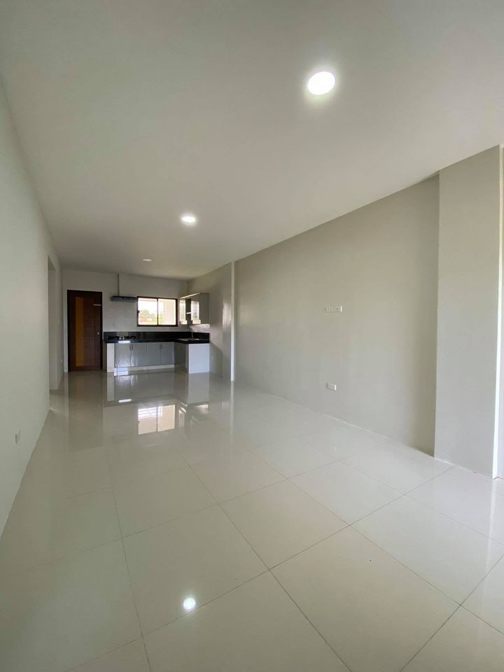 Gallery 5