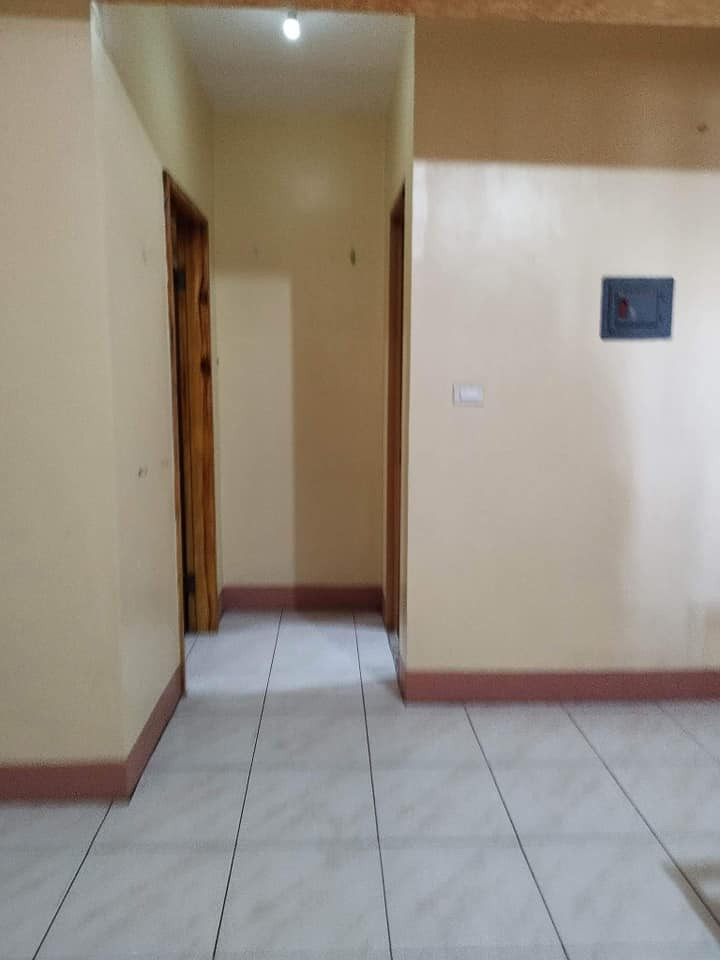 Gallery 5