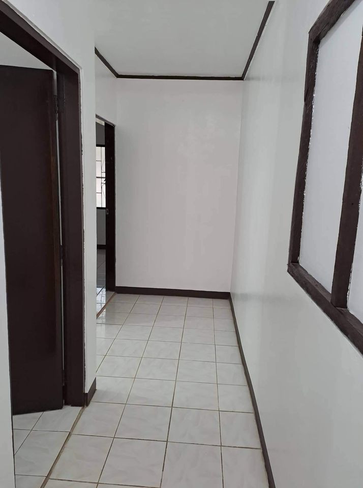 Gallery 5