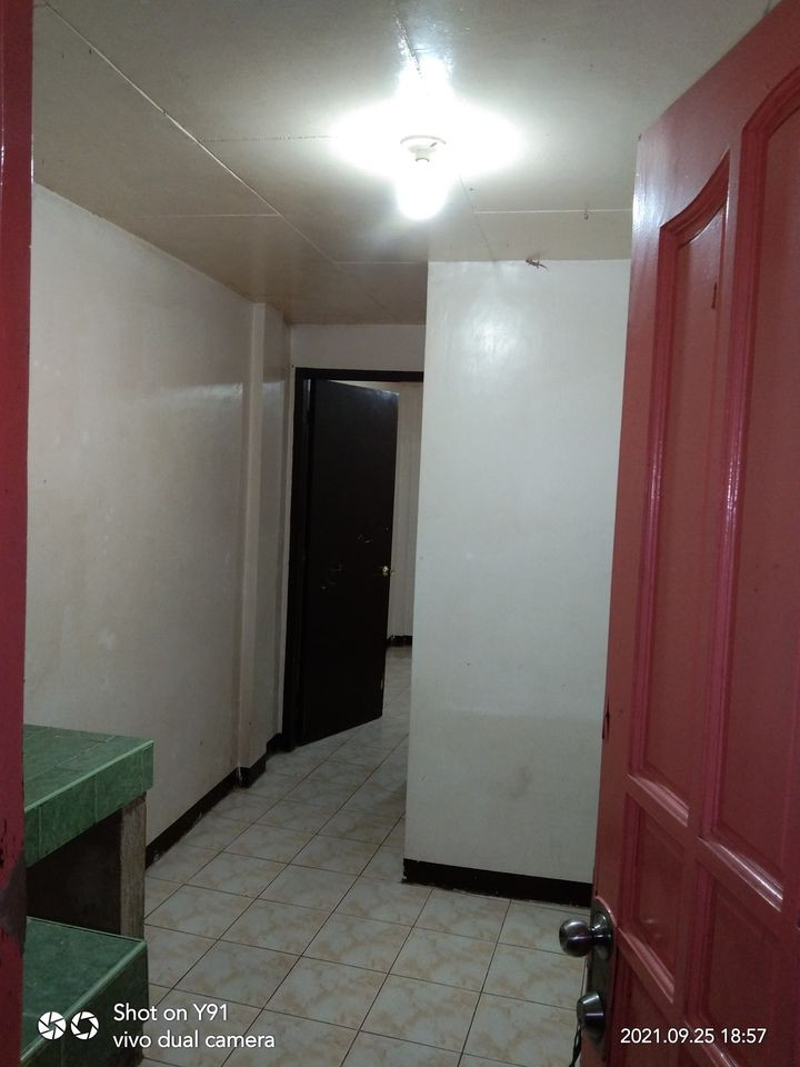 Gallery 3