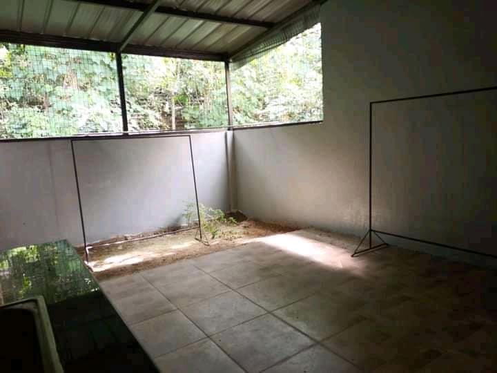 Gallery 4