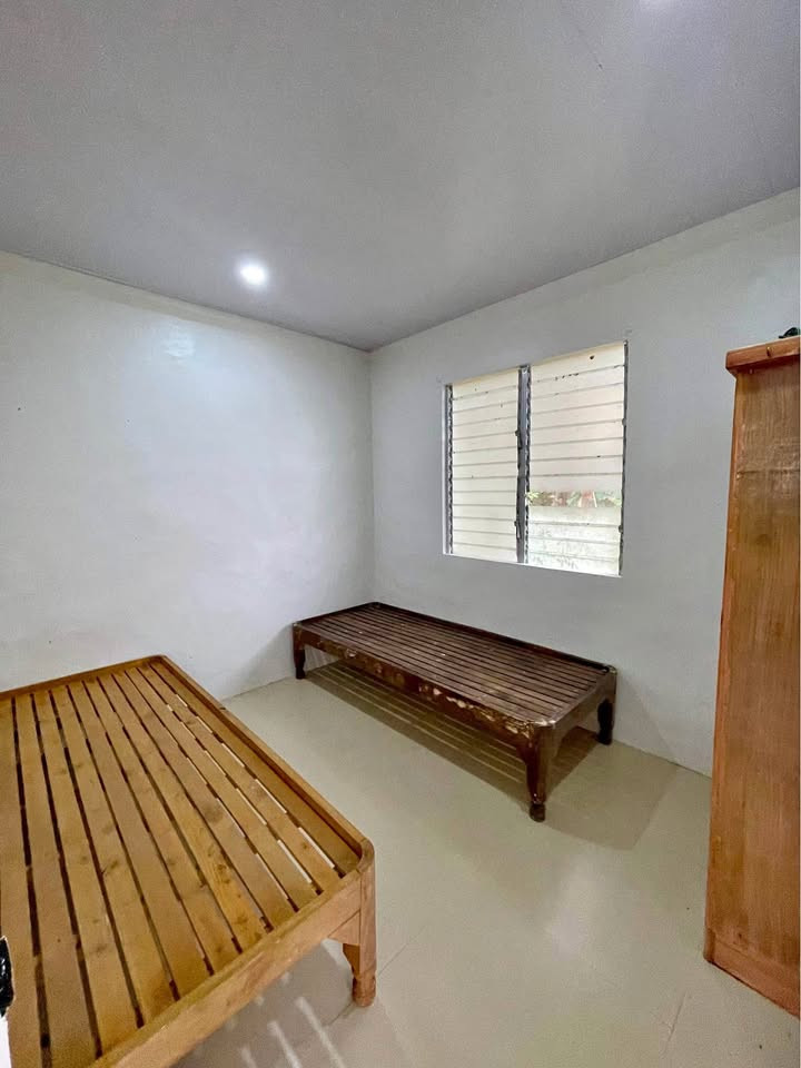 Gallery 4