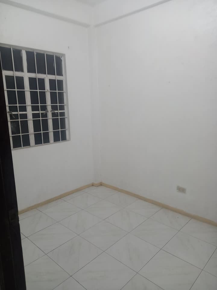 Gallery 5