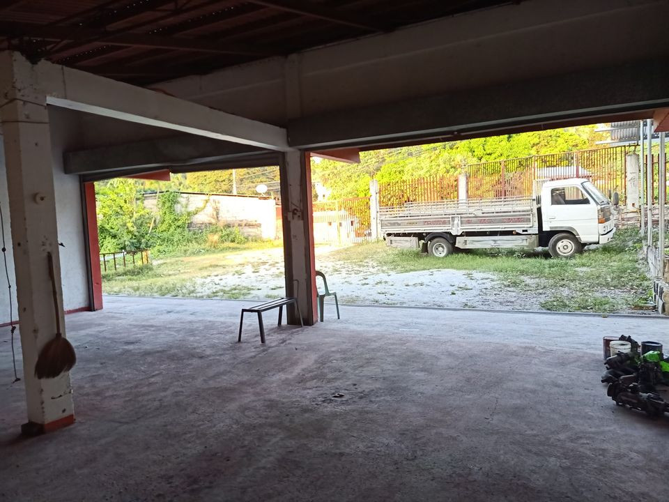 Gallery 5