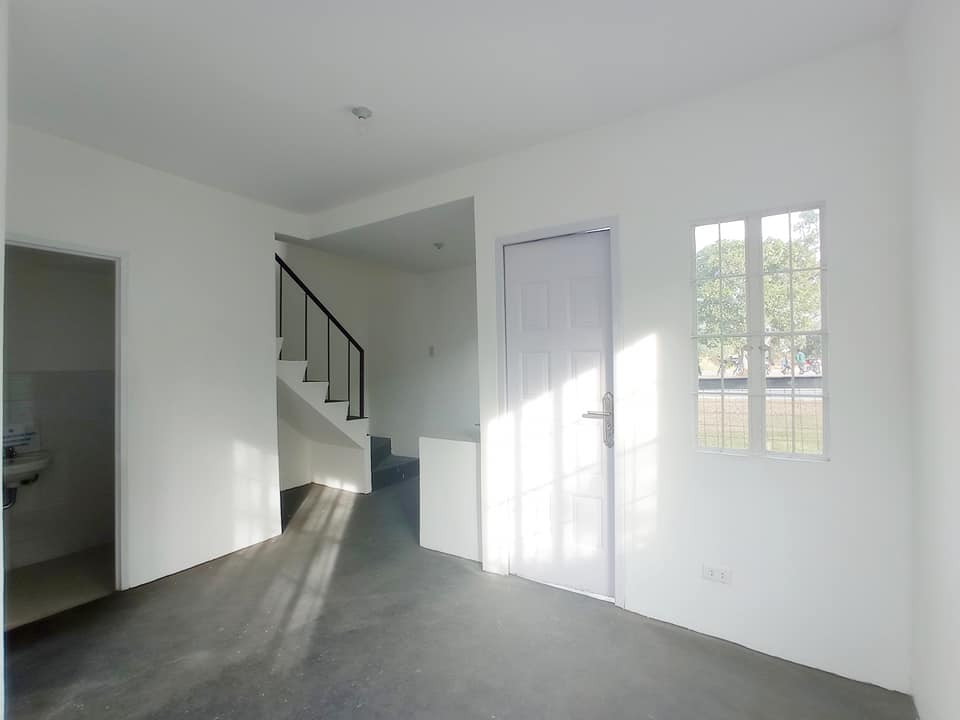 Gallery 4