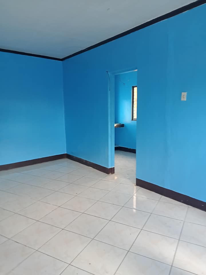 Gallery 3