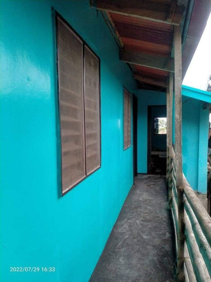 Gallery 2