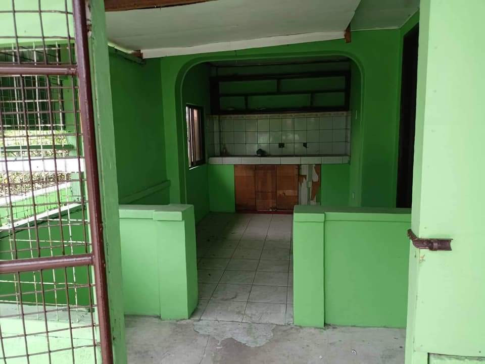 Gallery 4