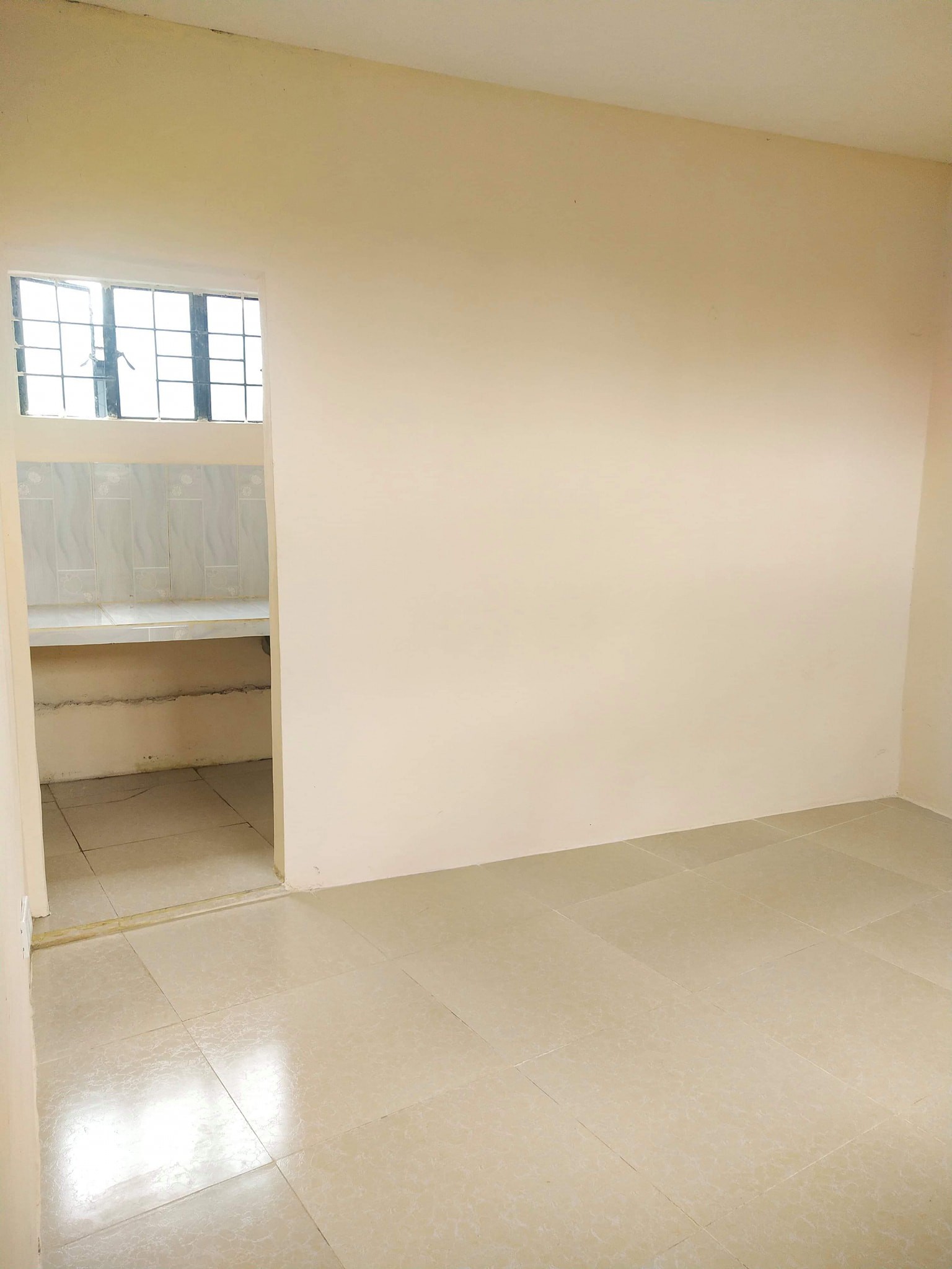 Gallery 4