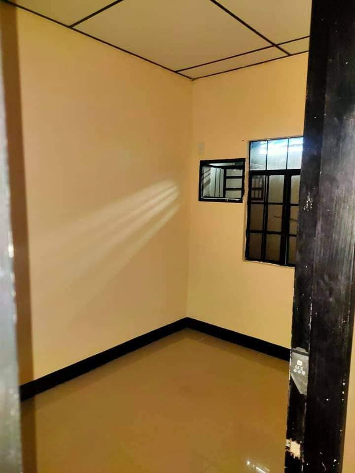 Gallery 3