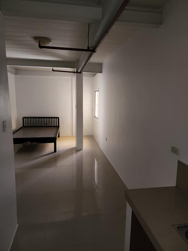 Gallery 5