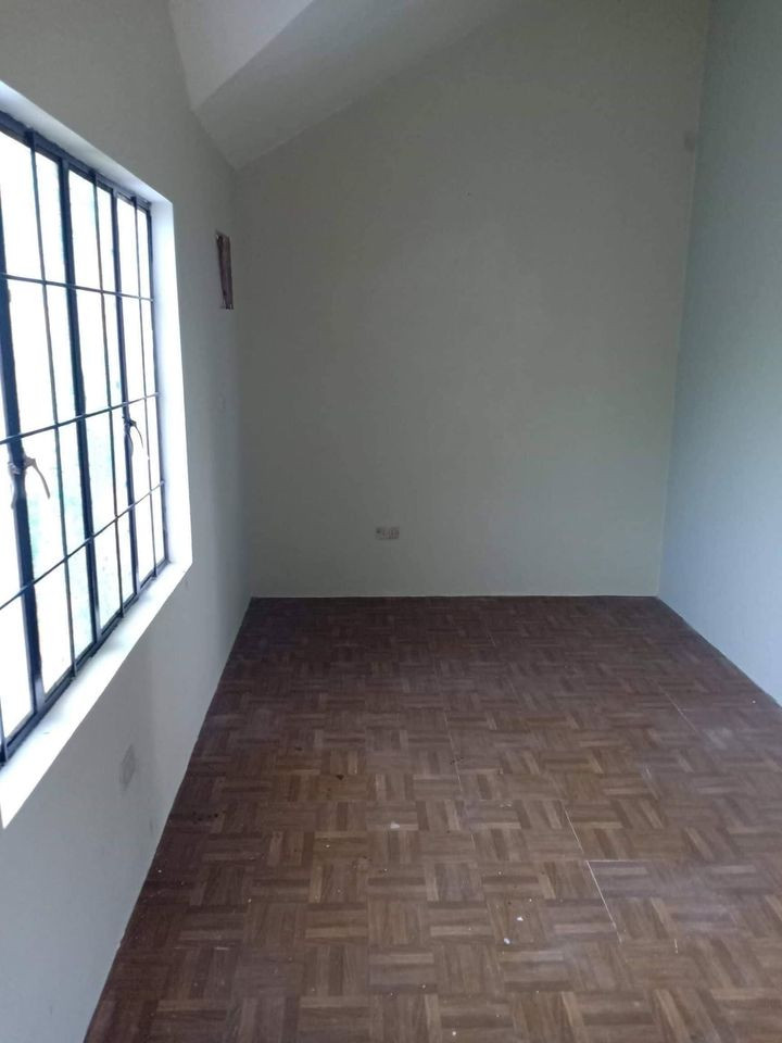 Gallery 5